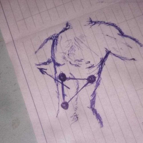 photo_2021-09-21_23-23-44