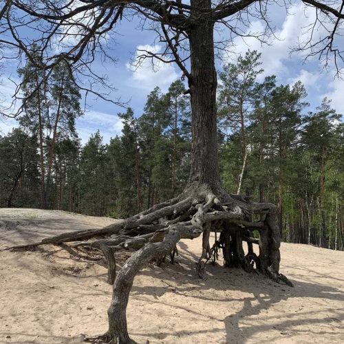 photo_2021-09-22_23-10-07