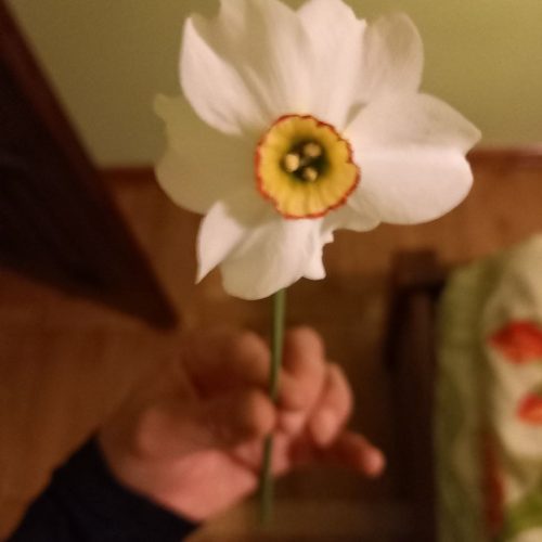 photo_2022-05-09_22-15-15